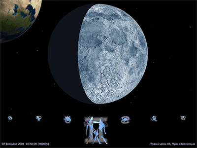 hranitel-jekrana-tnr-moonlight (400x300, 29Kb)