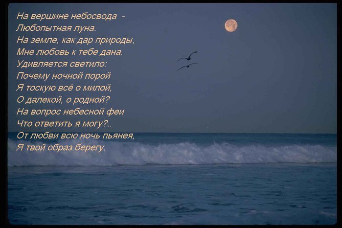 луна стихи цитаты этой статье