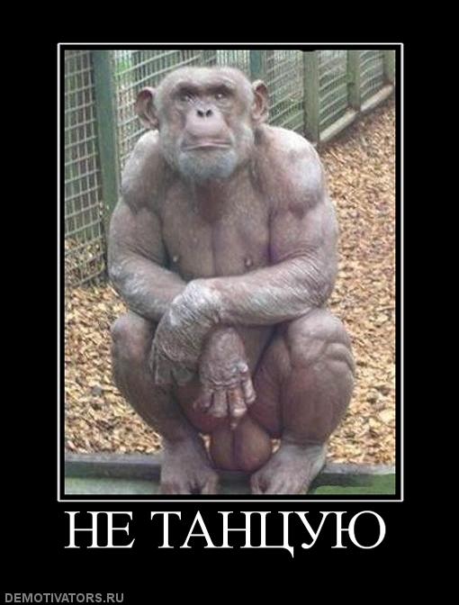 273336_ne-tantsuyu (510x672, 47Kb)