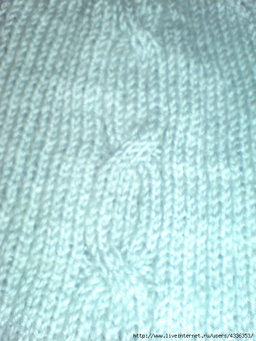 DSC06526 (525x700, 241Kb)
