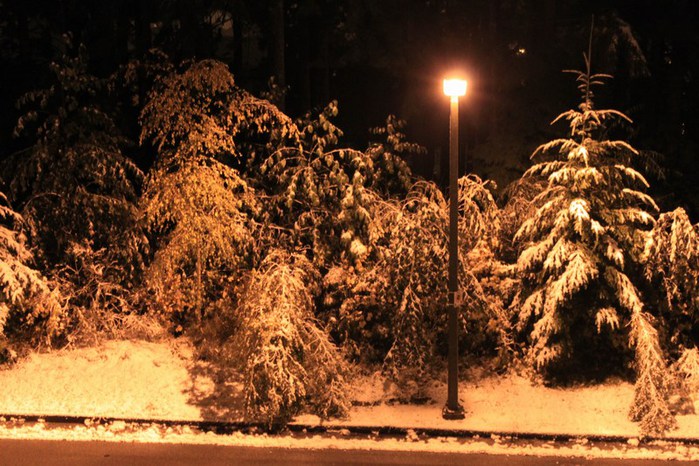 mini-009 (700x466, 123Kb)