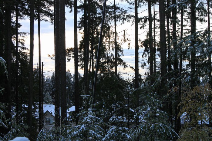 mini-024 (700x466, 138Kb)