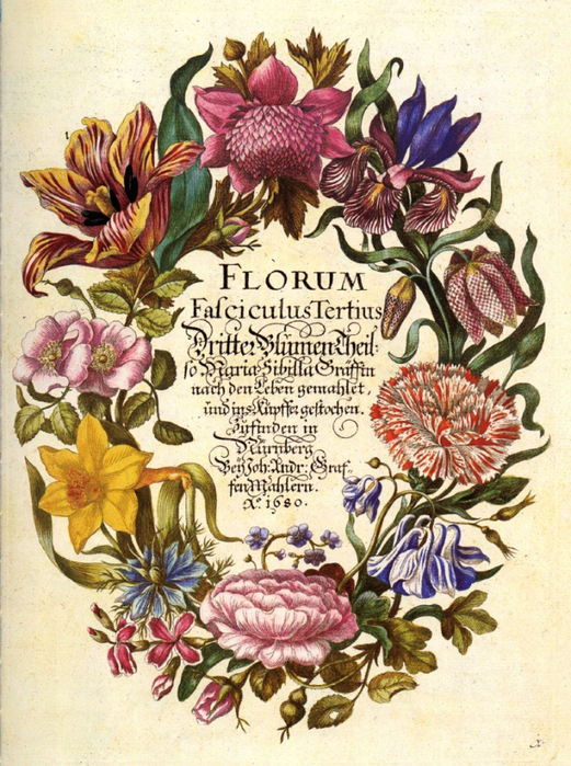 1Garland of Flowers (521x700, 538Kb)