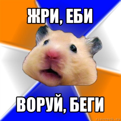 comics_Homyak_orig_1321190260 (400x400, 35Kb)