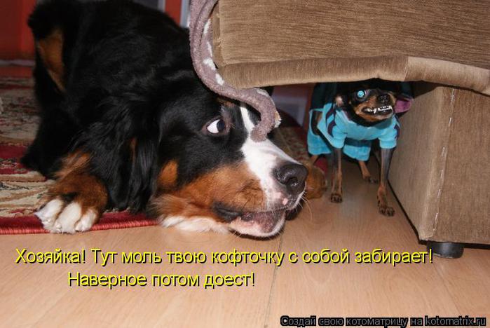 4326608_1006496 (700x468, 54Kb)
