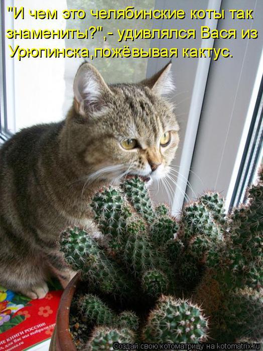 4326608_1042362 (524x700, 79Kb)