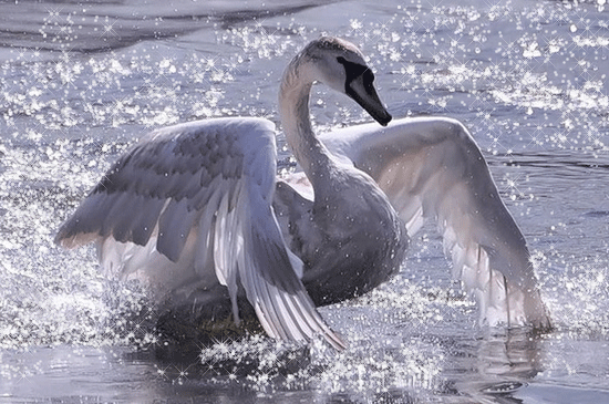 4289686_0_3f8b4_b80b49ac_XL_1_ (550x365, 484Kb)