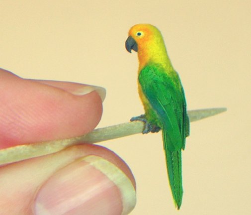 Волнистый попугай - Модели из бумаги и картона своими руками - Форум