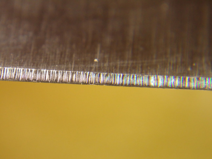 DSC02810 (700x525, 58Kb)