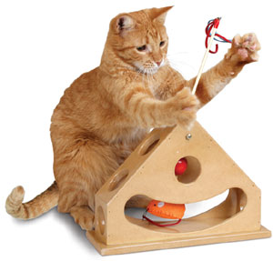 tick_tock_teaser_for_cats (300x287, 17Kb)