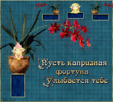 76821878 (440x400, 128Kb)