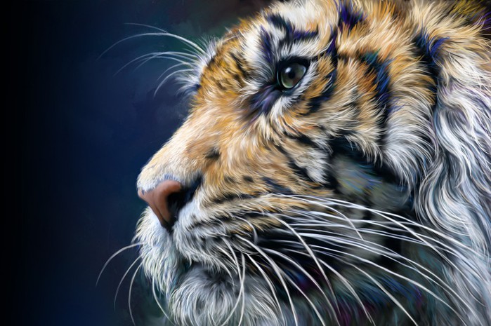 tiger5 (700x465, 100Kb)