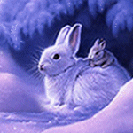 rabbit_1 (150x150, 39Kb)
