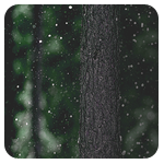 1322339680_avatar_2 (150x150, 42Kb)