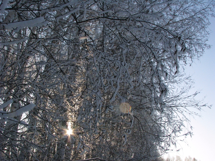 IMG_5357 (700x525, 382Kb)
