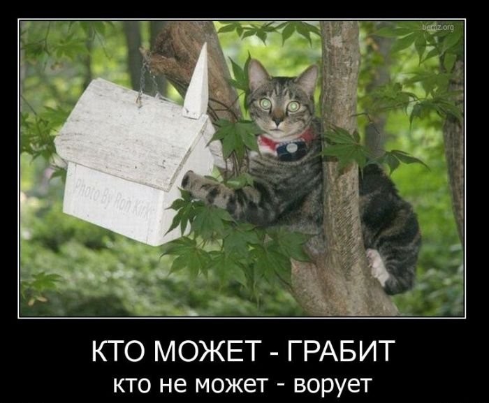   )))))))) (700x577, 81Kb)