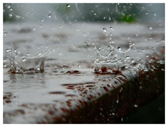 4052581_b33623963 (700x531, 63Kb)