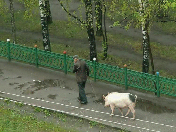 4016659_80477954_viewer__18_ (599x450, 637Kb)