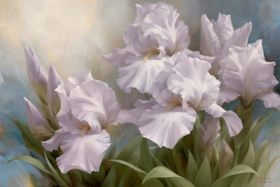 igor-levashov-white-iris-elegance-ii_002 (400x267, 25Kb)