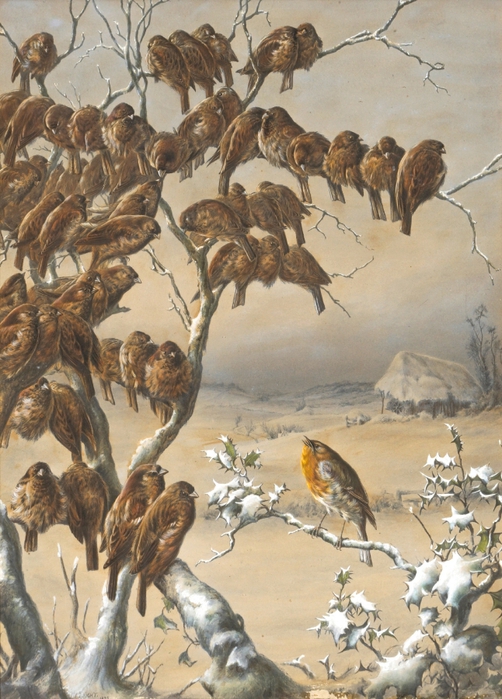 A flock of sparrows roosting in a winter landscape (502x700, 307Kb)