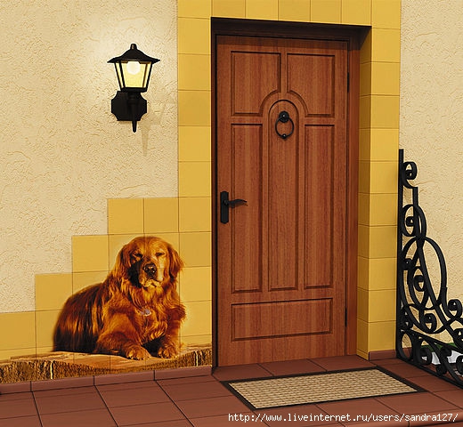 getImage (520x480, 176Kb)