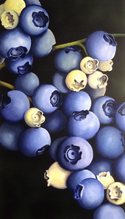 Blueberries_III_by_ctbehrens (398x700, 58Kb)