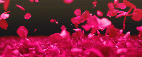 4485033_tumblr_lt9zx1q5Sh1qadhndo1_500 (500x200, 437Kb)