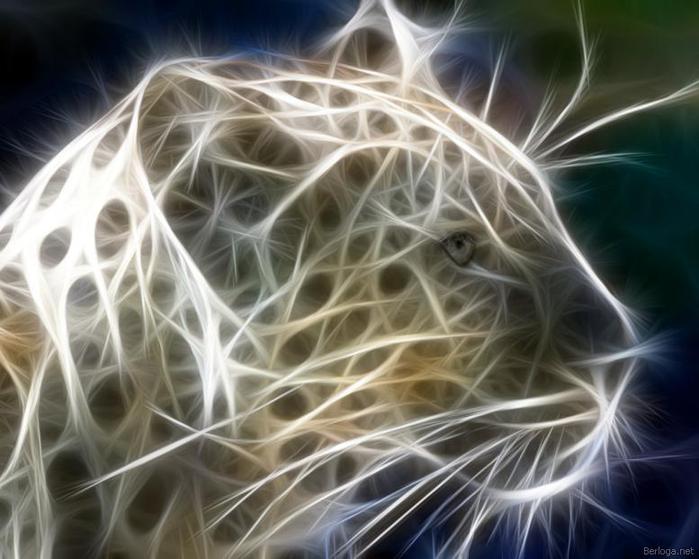 3869930_berloga_net_1963086769 (700x559, 53Kb)
