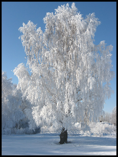 0_b09_9244de9b_XL (378x500, 88Kb)