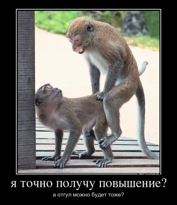 3221350_wwwwwwww (607x700, 80Kb)