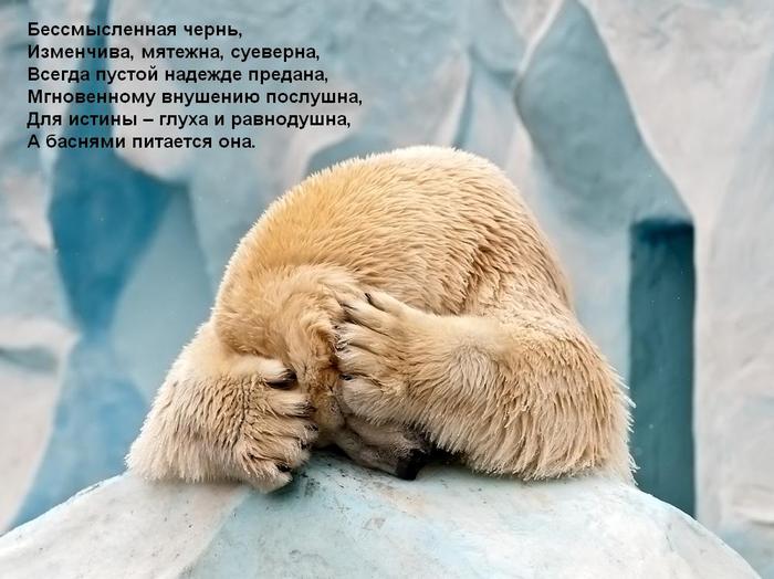 4441474_large (700x524, 54Kb)