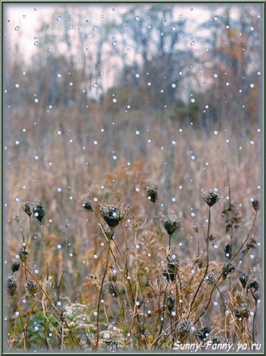 0_57dc8_9ce08bd_L (374x500, 335Kb)