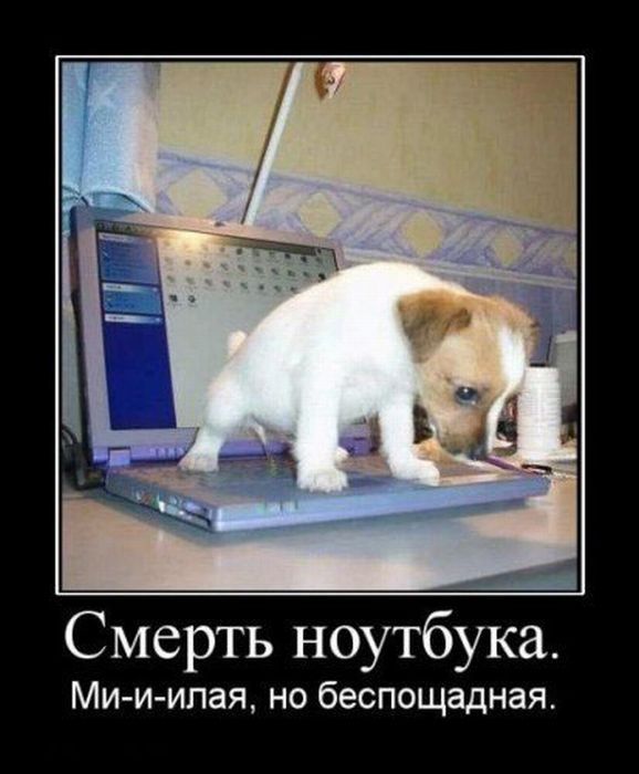 demotivator-0024 (578x700, 55Kb)
