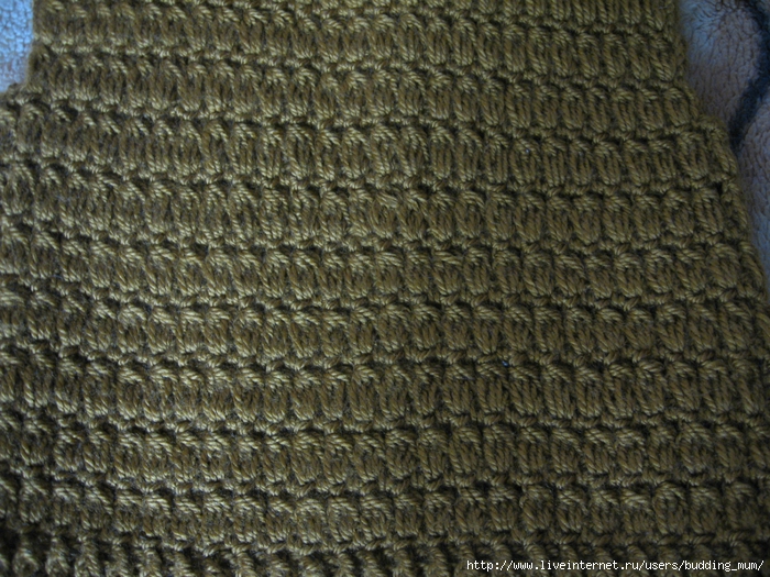 IMG_2255 (700x525, 401Kb)
