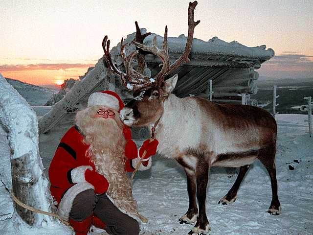 lapland1 (640x480, 52Kb)
