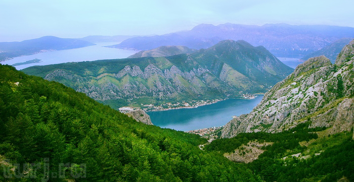ec06f8fd3e (700x361, 295Kb)