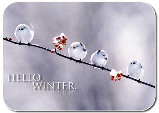 tumblr_lnpnb8eMGR1qcxieko1_500_large (510x365, 171Kb)