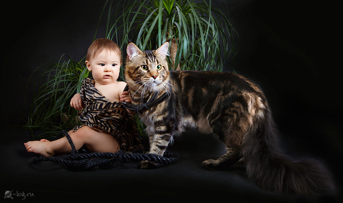 1901311_IMG_89851 (700x413, 102Kb)