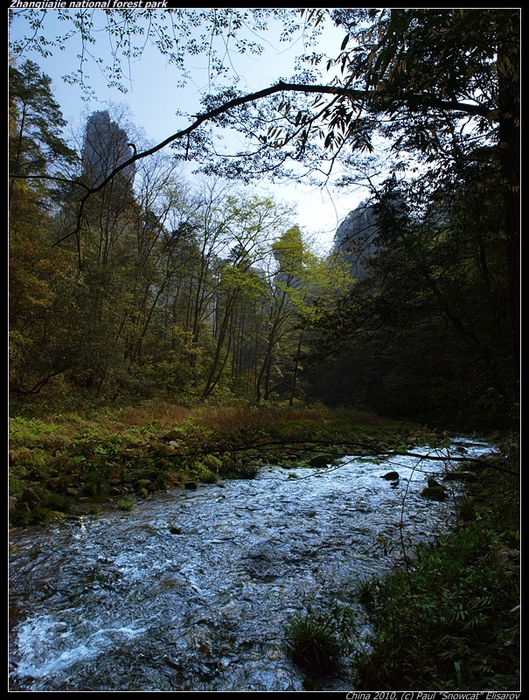 P4057100-vi (529x700, 392Kb)