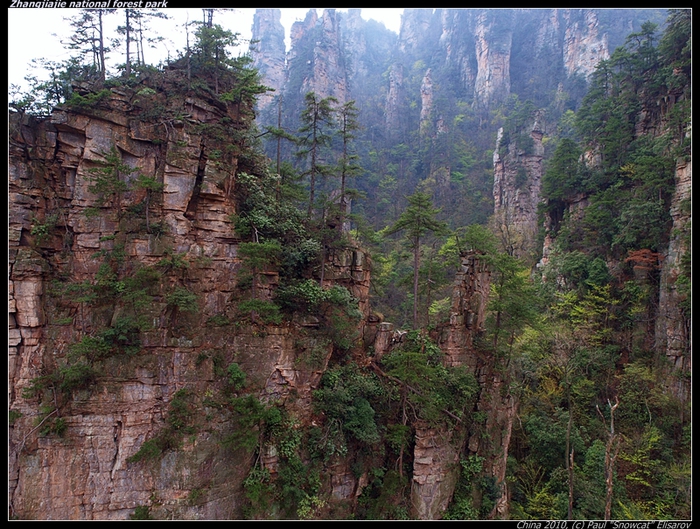 P4057359-vi (700x529, 368Kb)