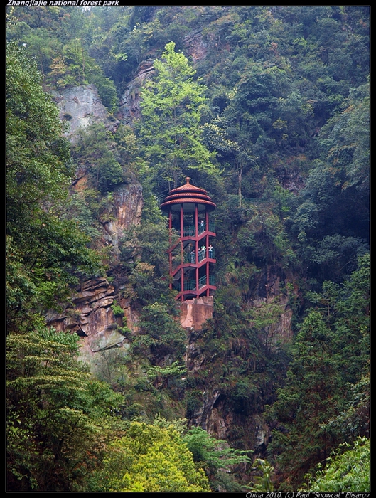P4057379-vi (529x700, 392Kb)