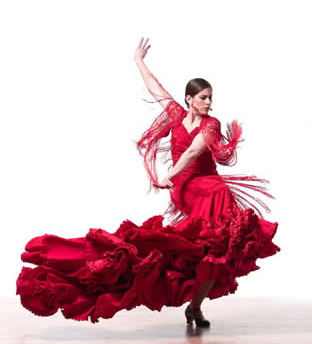 flamenco (312x344, 42Kb)
