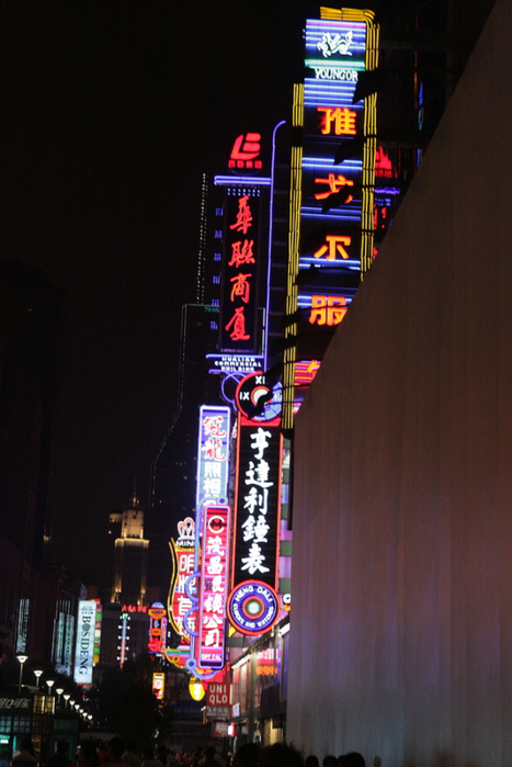 IMG_9118 (467x700, 414Kb)