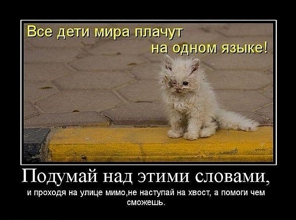 x_81558f0d (604x449, 73Kb)