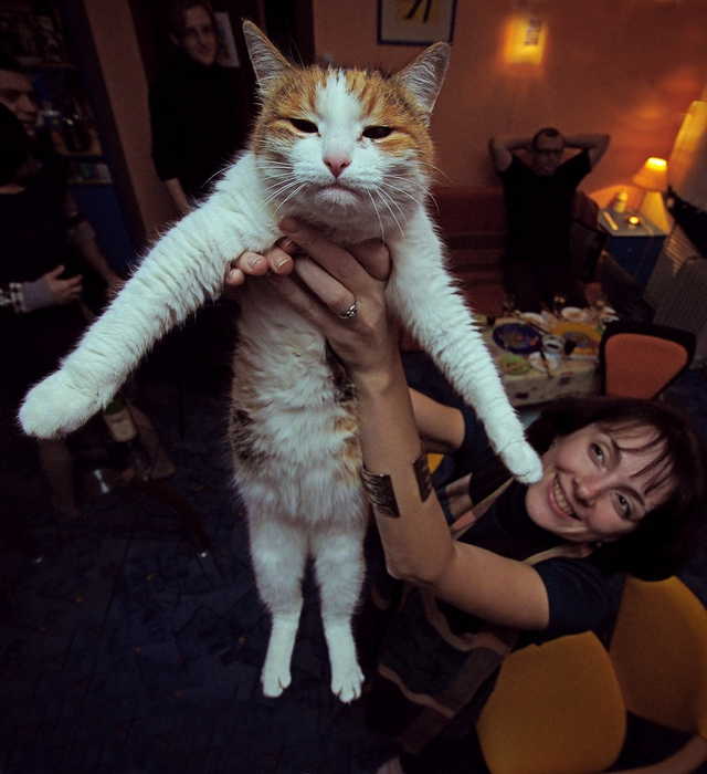 3449150_DSC00501_1 (640x700, 298Kb)
