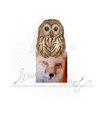 1323238957_for_icons1ic_06_12_2011png (331x372, 84Kb)