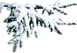 4360286_7a24e681a4db (150x104, 30Kb)