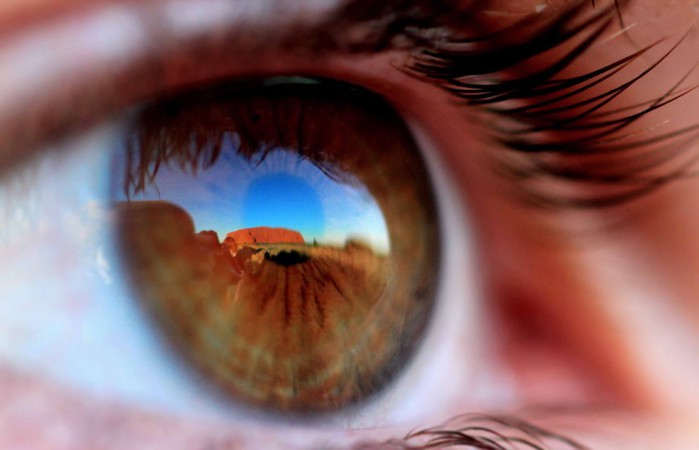 fotokonkurs-National-Geographic-14-1-990x637 (700x450, 49Kb)