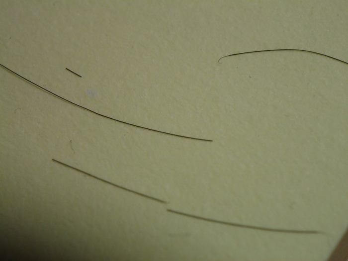 DSC03156 (700x525, 80Kb)