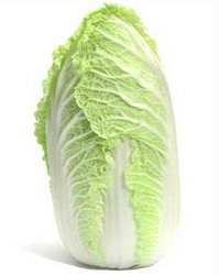 cabbage11 (199x250, 8Kb)